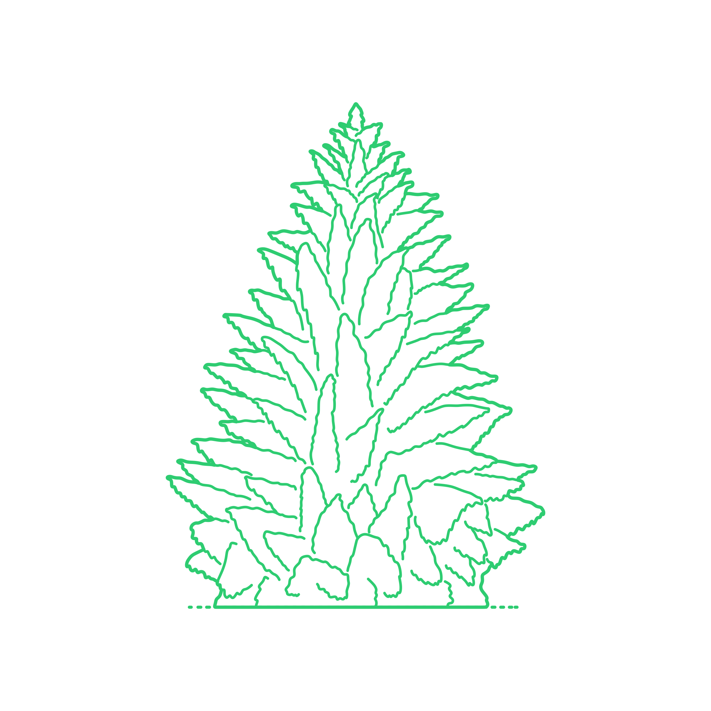 Plants Spruces Morinda Spruce Vinyl Cutting Svg File Free Vectors